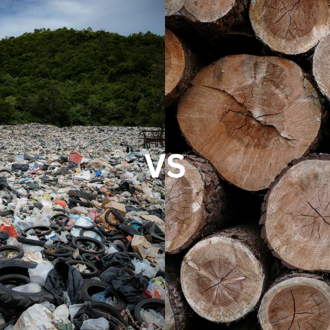 Wood vs. Plastic: Is Natural Material the Key to a Sustainable Future?